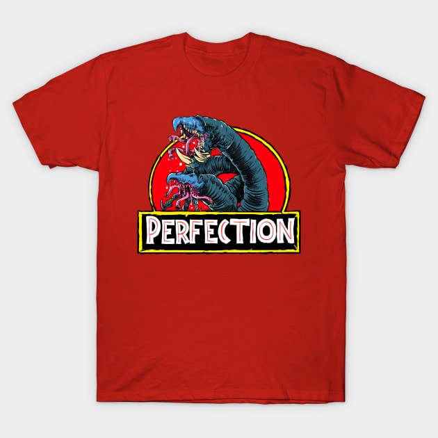 Perfection T-Shirt by G00DST0RE